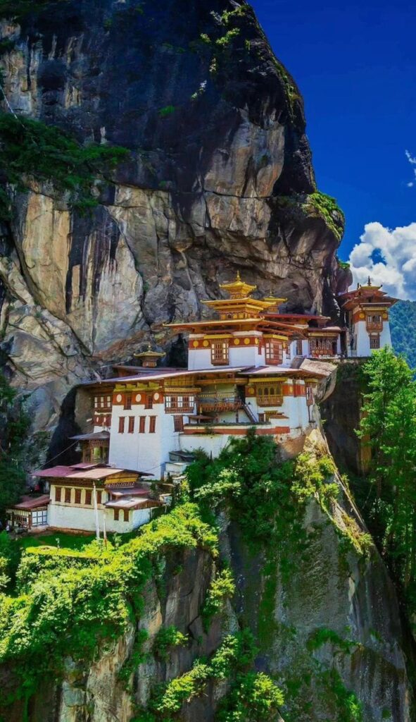 WhatsApp Image 2025-08-28 at 15.26.21 (2)