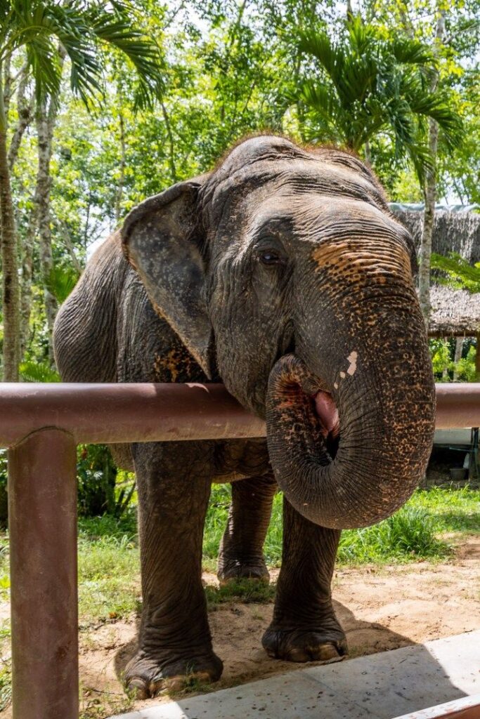 WhatsApp Image 2025-08-30 at 15.50.36 (1)