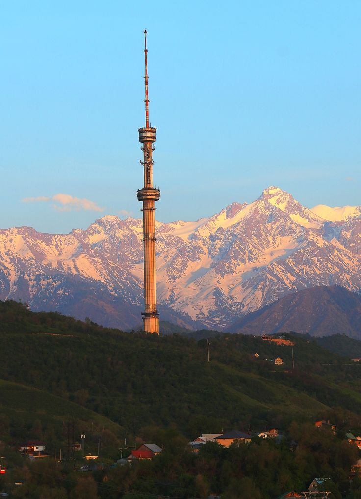 WhatsApp Image 2025-09-02 at 17.13.36