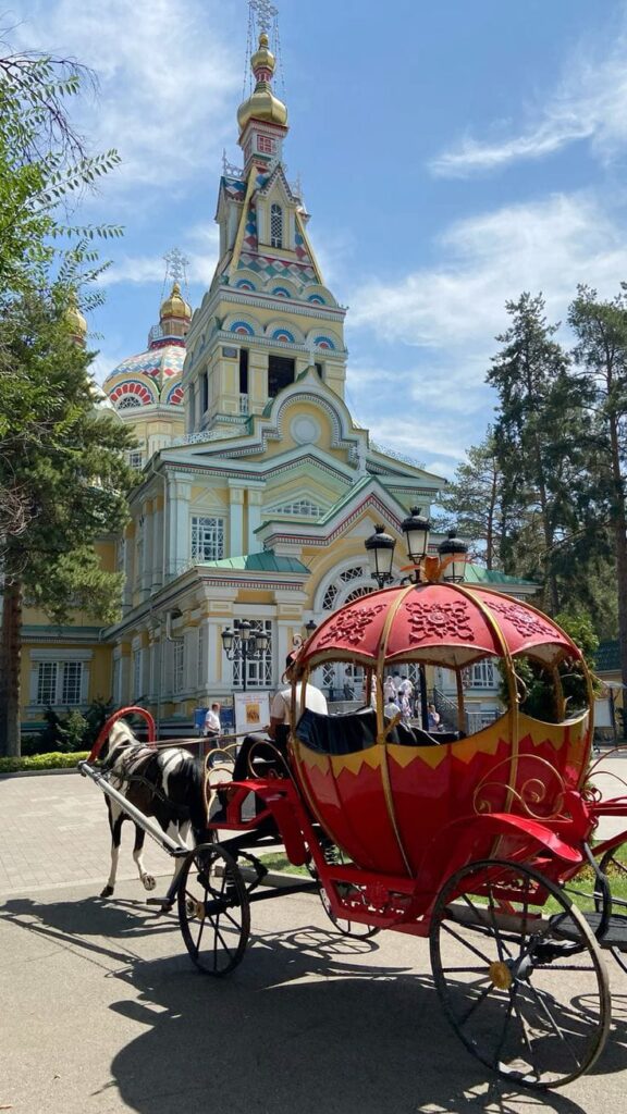 WhatsApp Image 2025-09-02 at 17.13.37 (1)