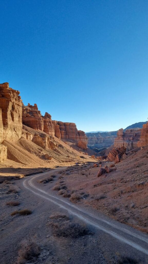 WhatsApp Image 2025-09-02 at 17.13.37 (3)