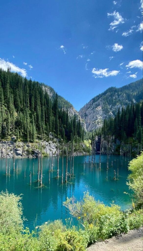 WhatsApp Image 2025-09-02 at 17.13.38