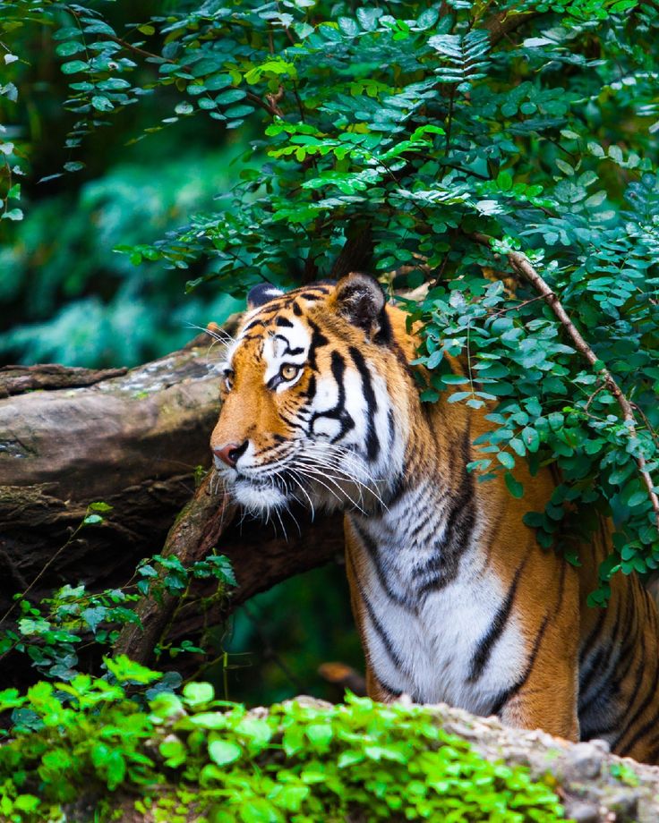 WhatsApp Image 2025-09-02 at 17.46.21 (2)