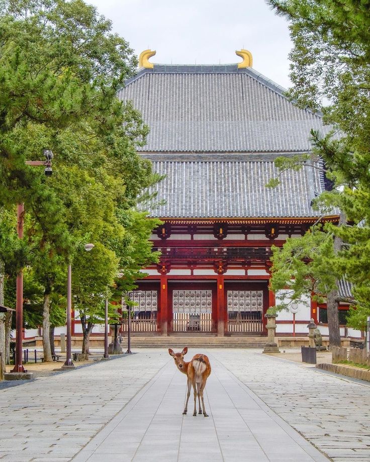 WhatsApp Image 2025-09-05 at 15.12.29 (1)