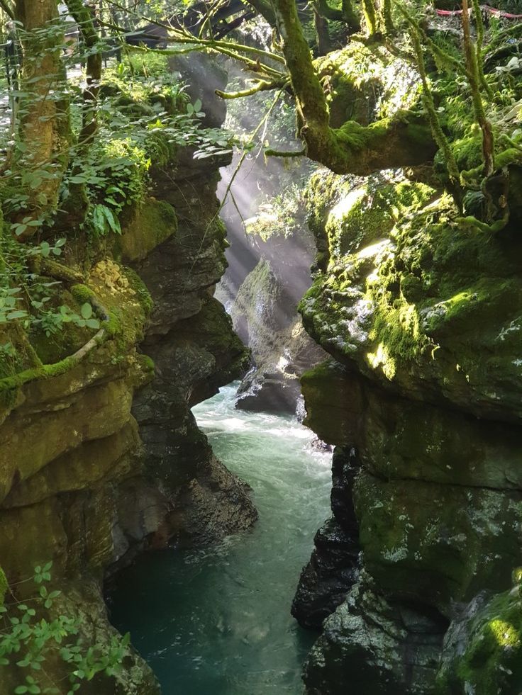 WhatsApp Image 2025-09-07 at 12.31.47