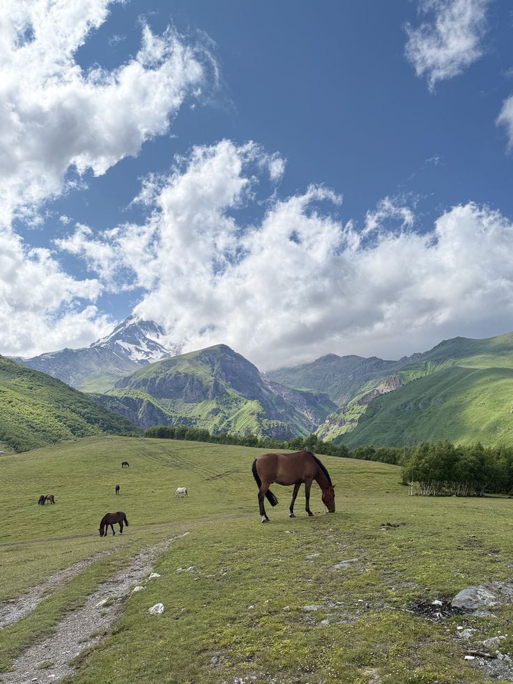 WhatsApp Image 2025-09-07 at 12.31.48