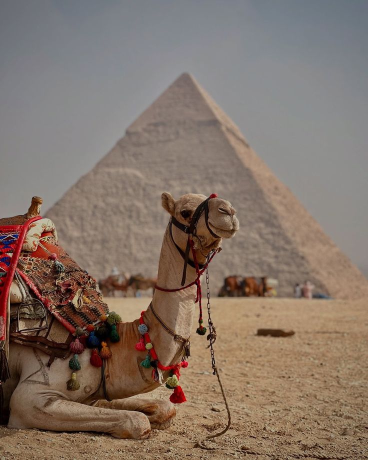 WhatsApp Image 2025-09-09 at 16.18.51 (1)