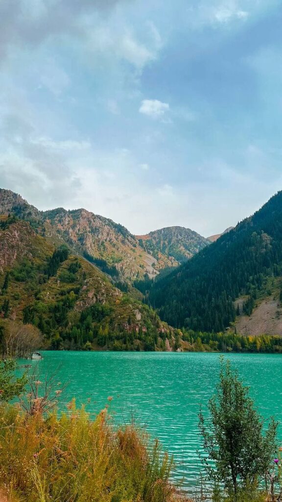 WhatsApp Image 2025-09-14 at 19.58.31