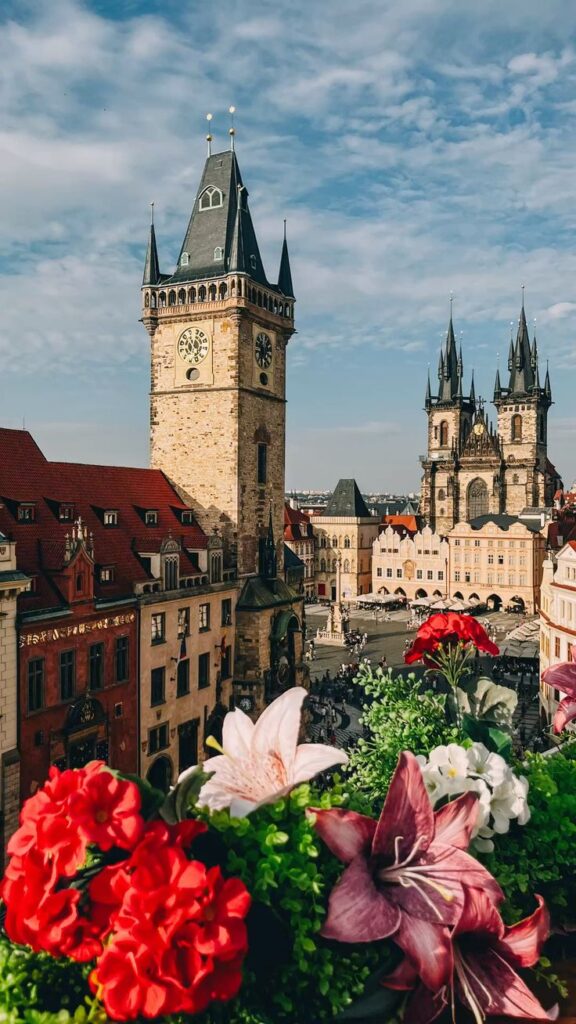 WhatsApp Image 2025-09-22 at 15.30.51 (1)