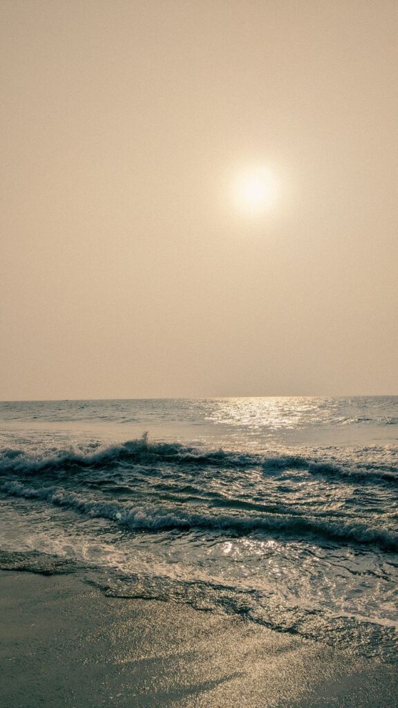 WhatsApp Image 2025-10-07 at 12.58.01 (2)