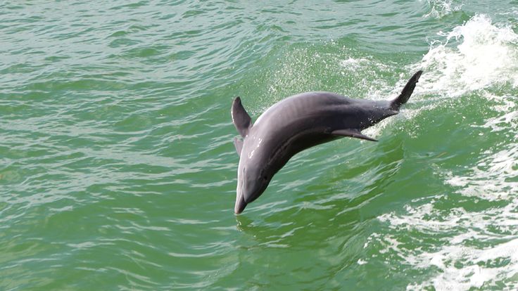 WhatsApp Image 2025-10-30 at 16.28.16 (2)