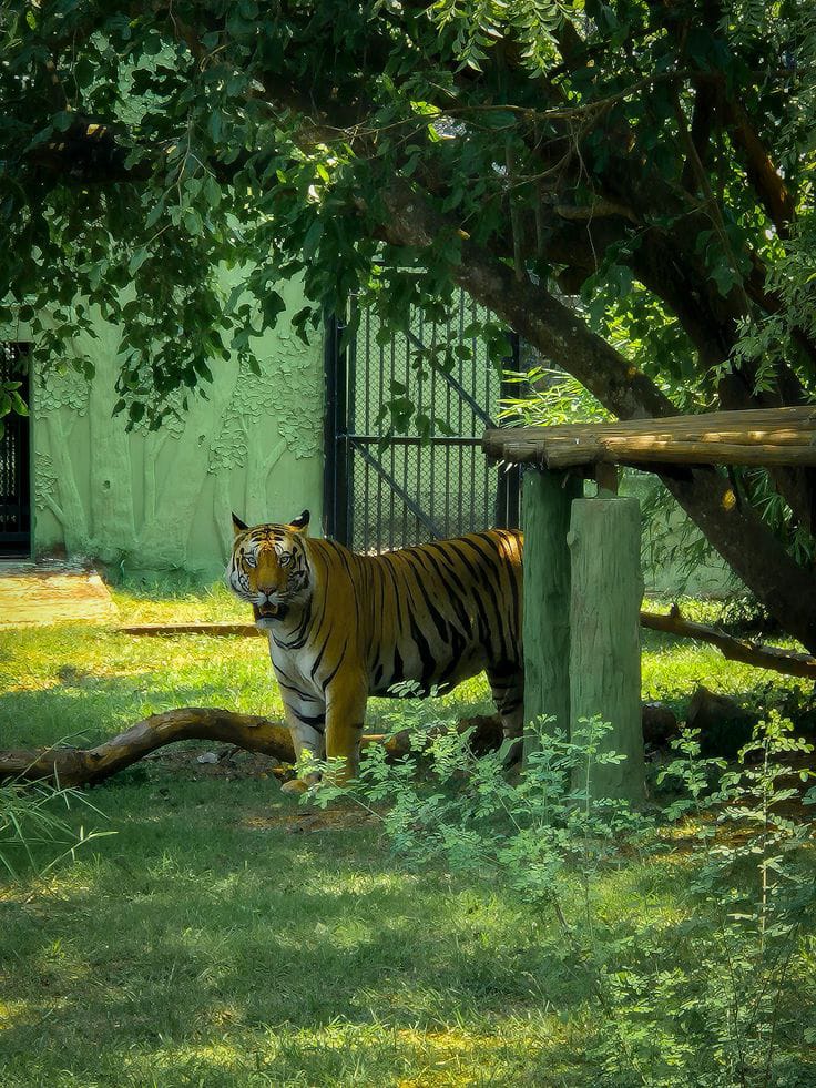 WhatsApp Image 2025-10-30 at 16.28.17 (1)