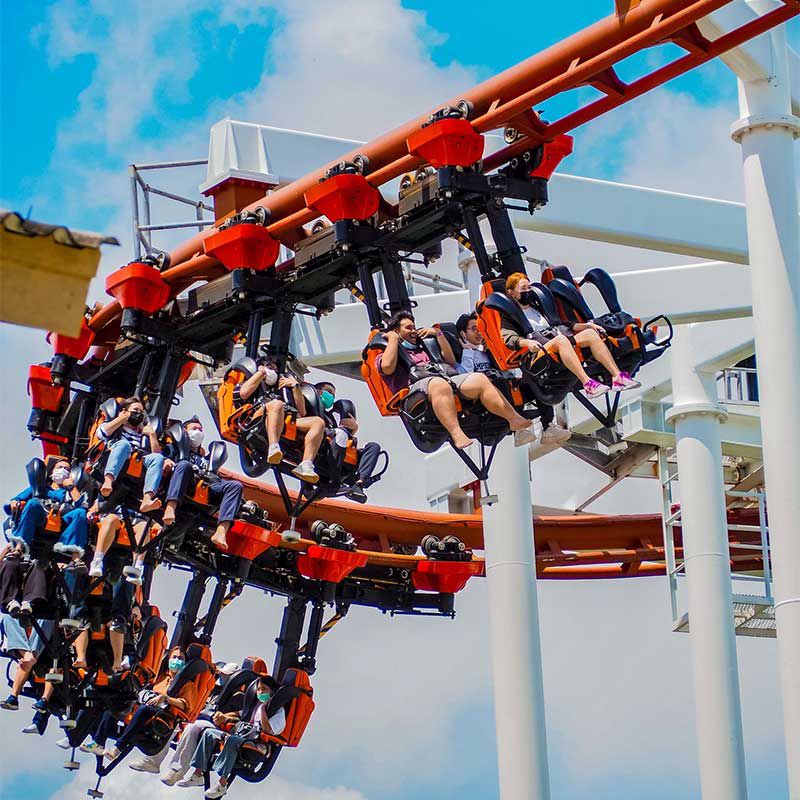 WhatsApp Image 2026-01-20 at 00.14.28 (2)