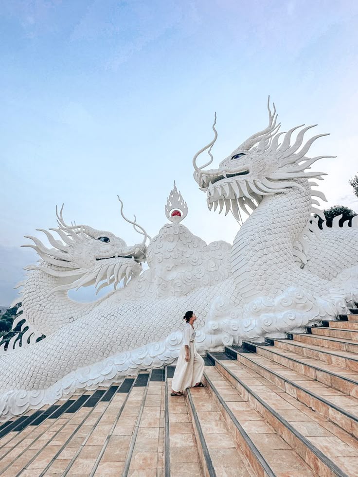 WhatsApp Image 2026-01-20 at 00.35.32