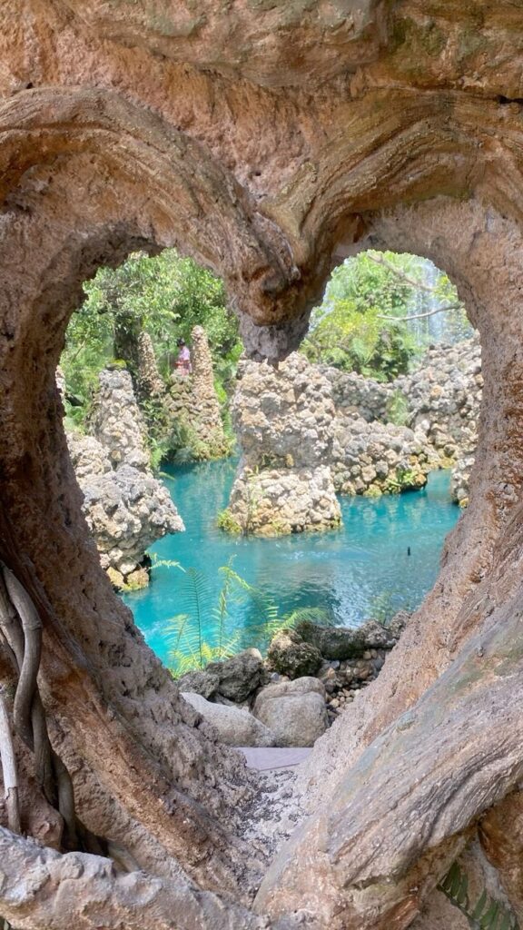 WhatsApp Image 2026-01-20 at 00.35.33 (4)