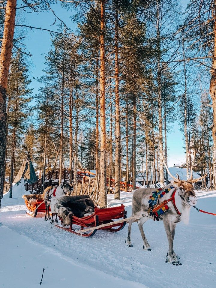 WhatsApp Image 2026-01-20 at 01.01.38 (1)