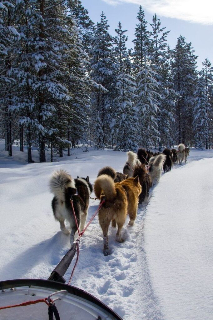 WhatsApp Image 2026-01-20 at 01.01.38 (2)