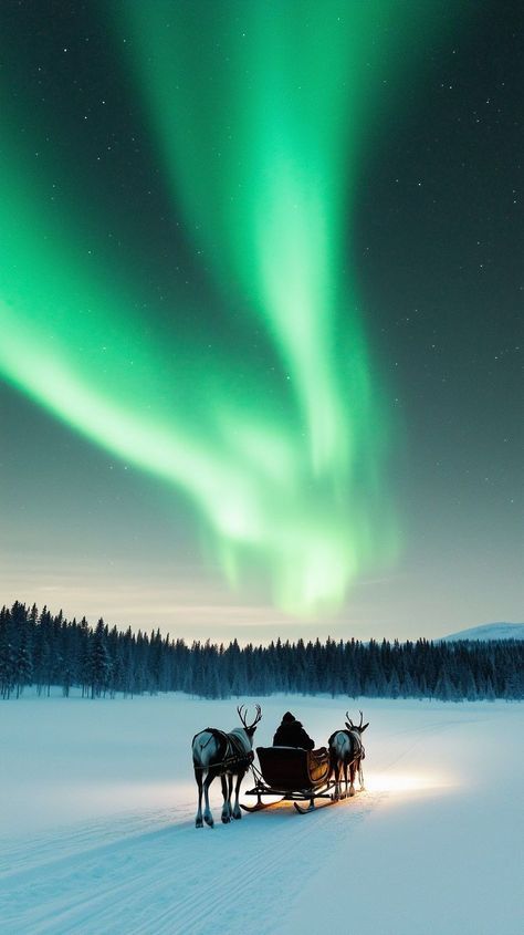 WhatsApp Image 2026-01-20 at 01.01.38