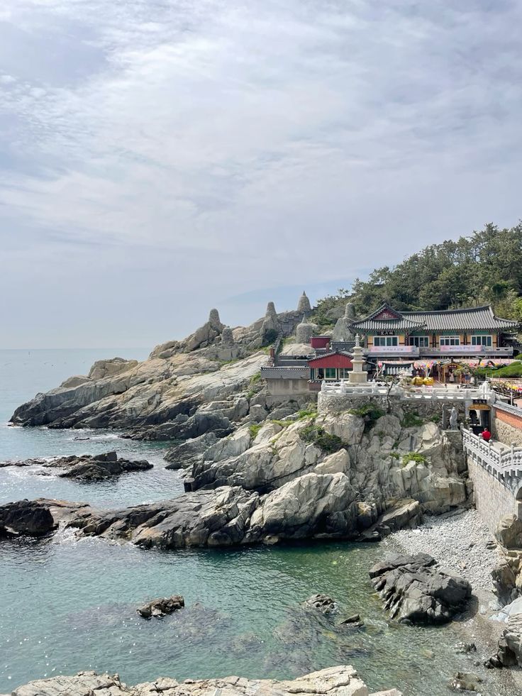 WhatsApp Image 2026-01-20 at 11.51.48 (2)