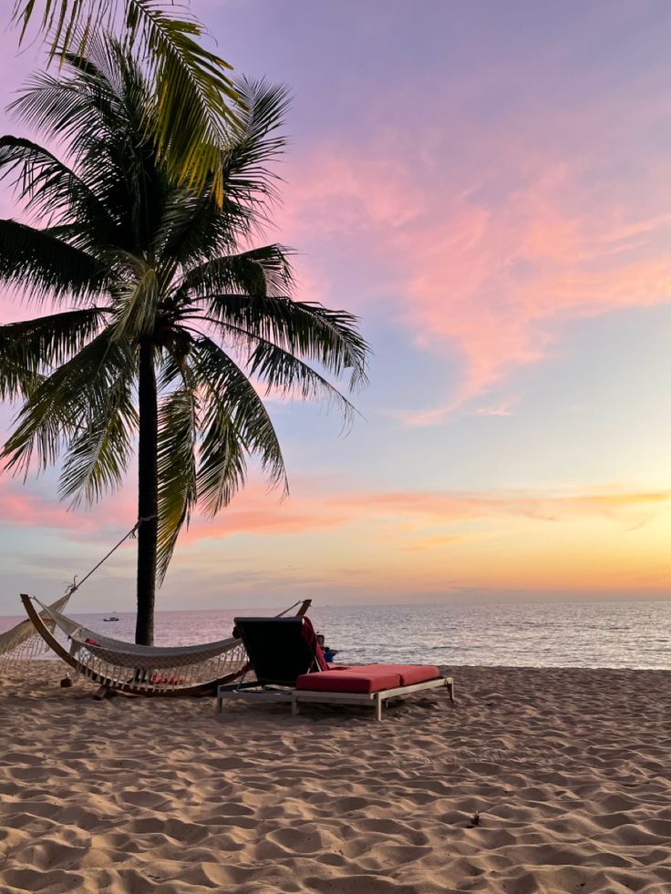 WhatsApp Image 2026-01-20 at 12.07.40 (1)