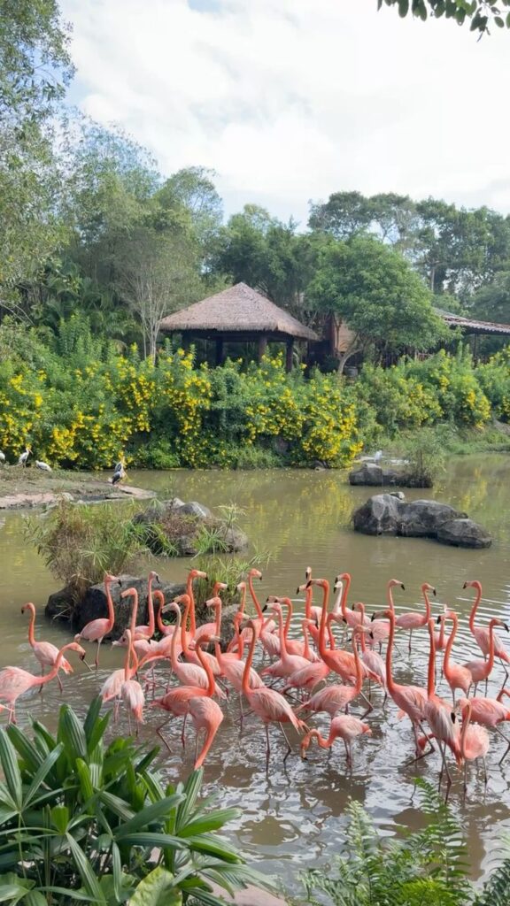 WhatsApp Image 2026-01-20 at 12.07.41 (2)