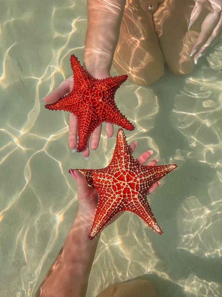 WhatsApp Image 2026-01-20 at 12.07.41 (3)